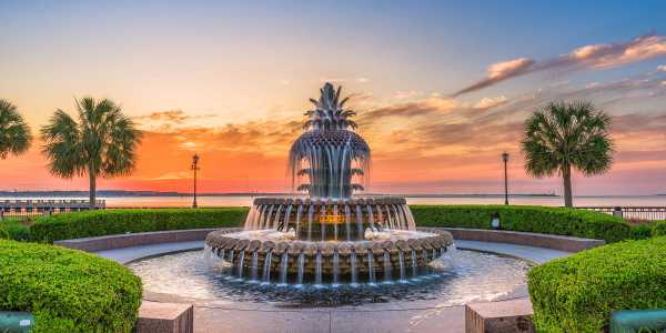 Angel Oak and Other Natural Charleston Landmarks