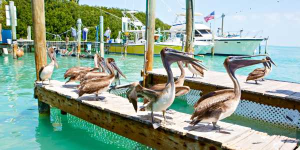 Key West Hotels That Capture the Essence of the Islands