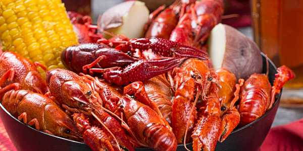 5 Places to Party in New Orleans