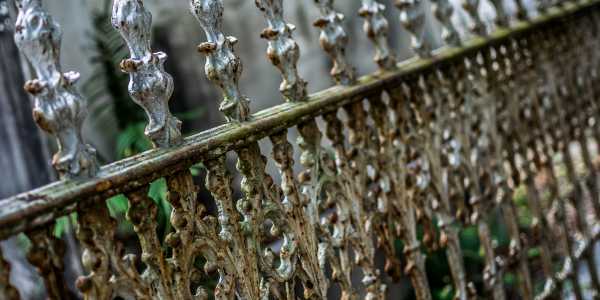 Your Haunted Guide to New Orleans