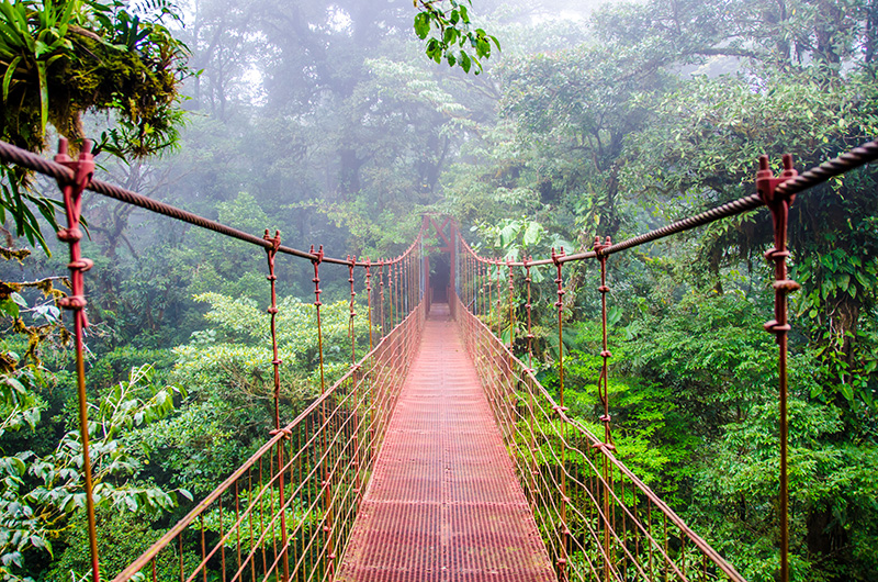 Hanging bridge in Monteverde Cloud Forest