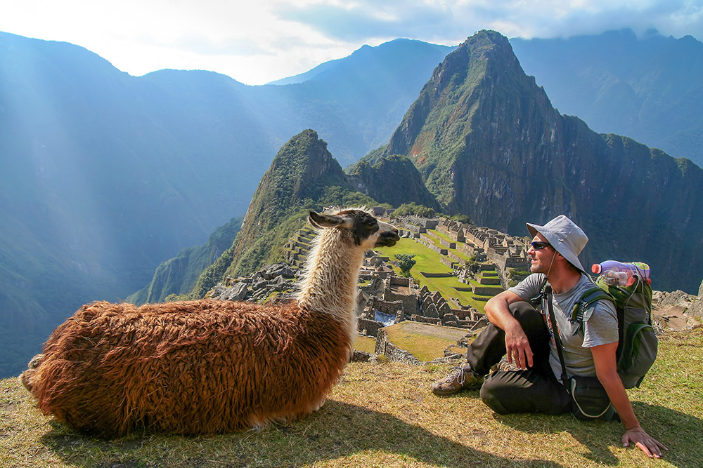 Machu Picchu and llama