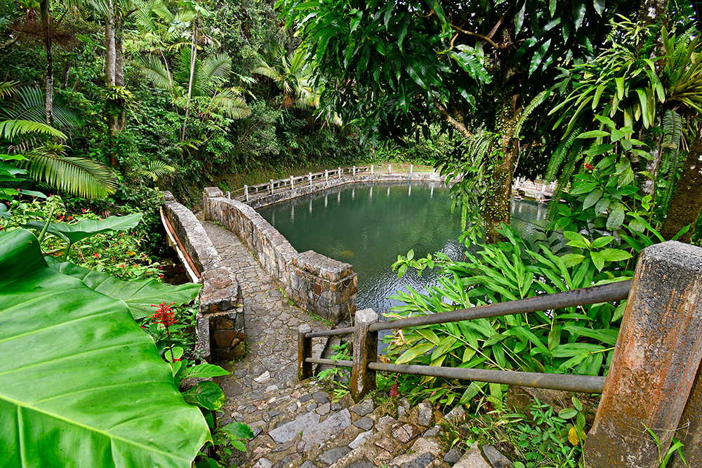 El Yunque National Forest in Puerto Rico