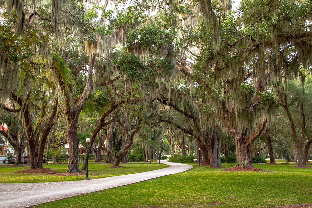 Jekyll Island Club Resort | Jekyll Island, Georgia