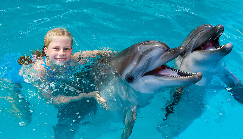 A girl swimming with dolphins