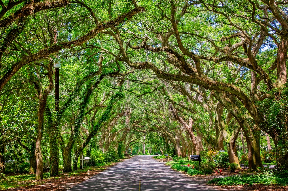 Alabama