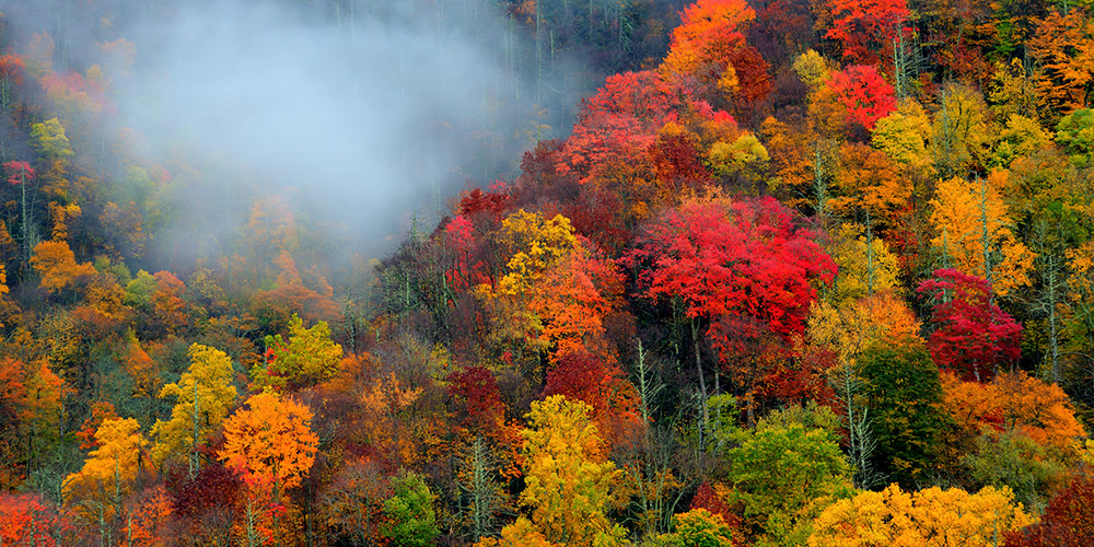 Great Smoky Mountains