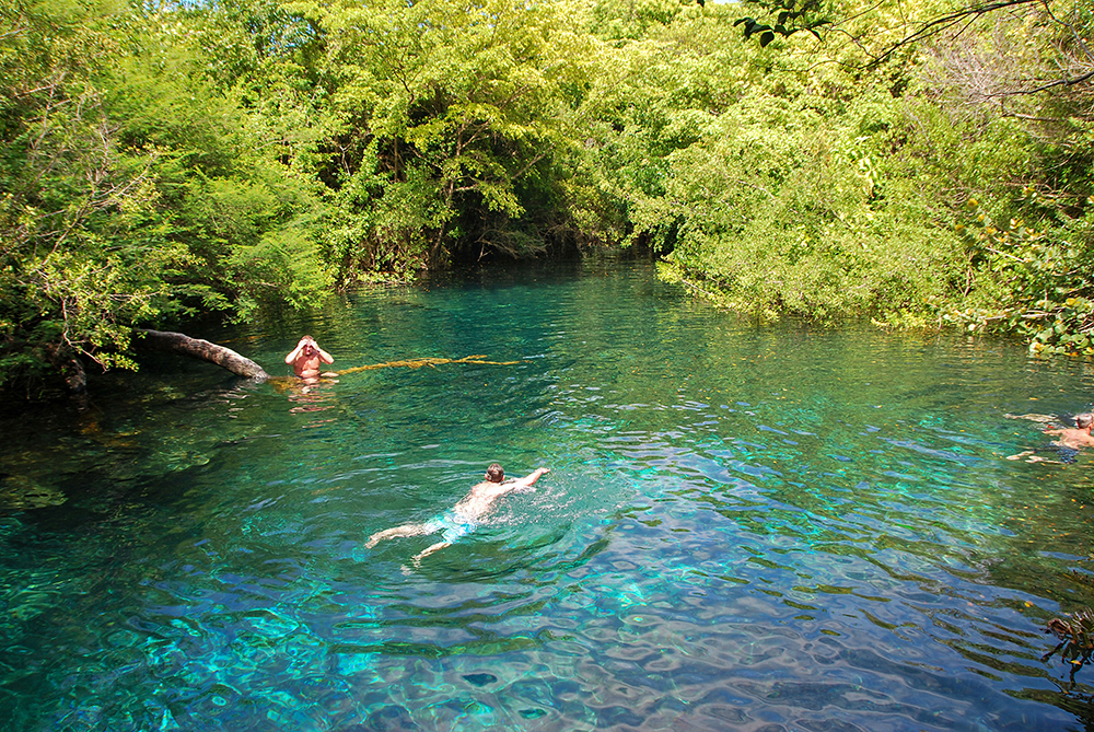 Swimming in lagoon at Indigenous Eyes Ecological Park