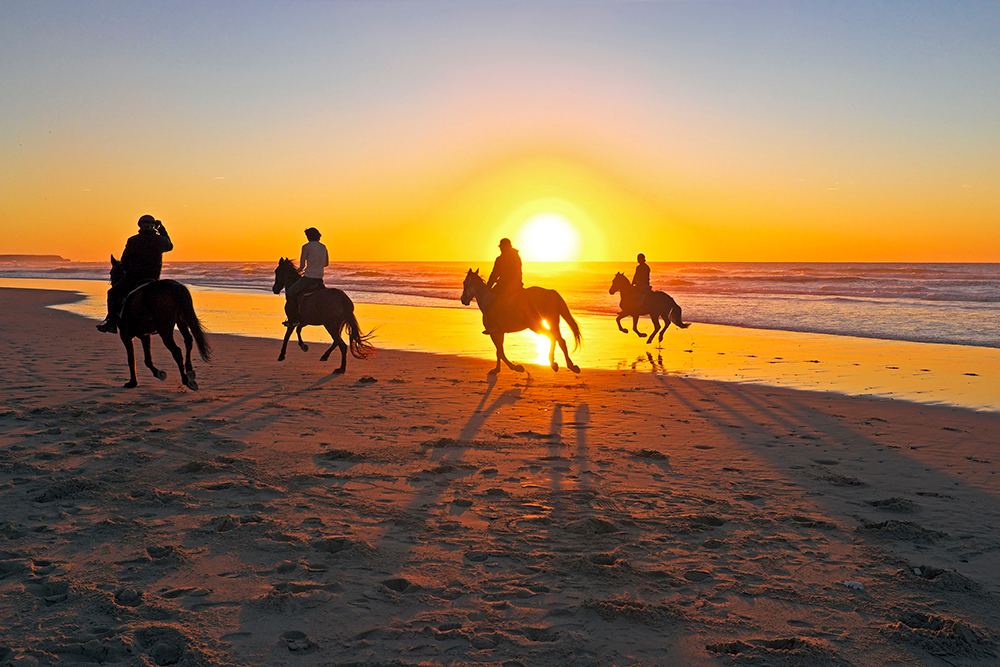 Sunset horseback riding on the beach