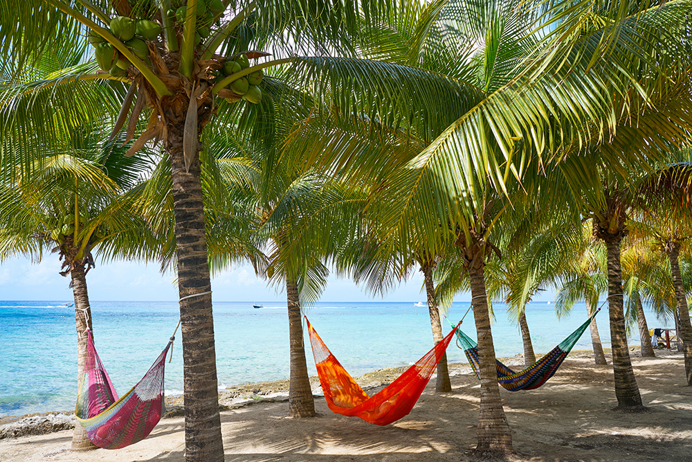 Hammocks on beach