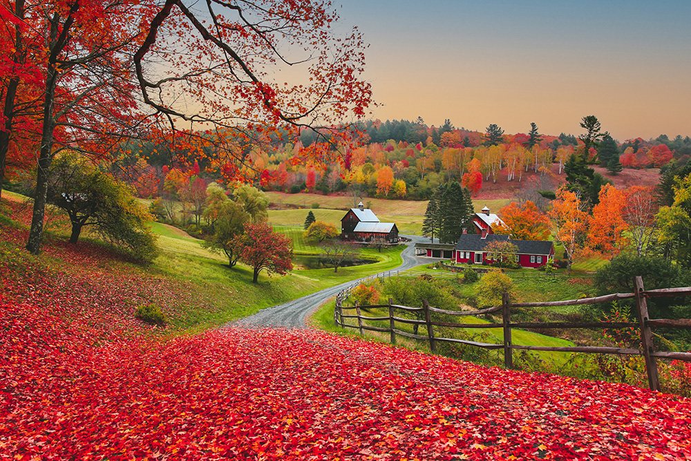 Fall in Vermont