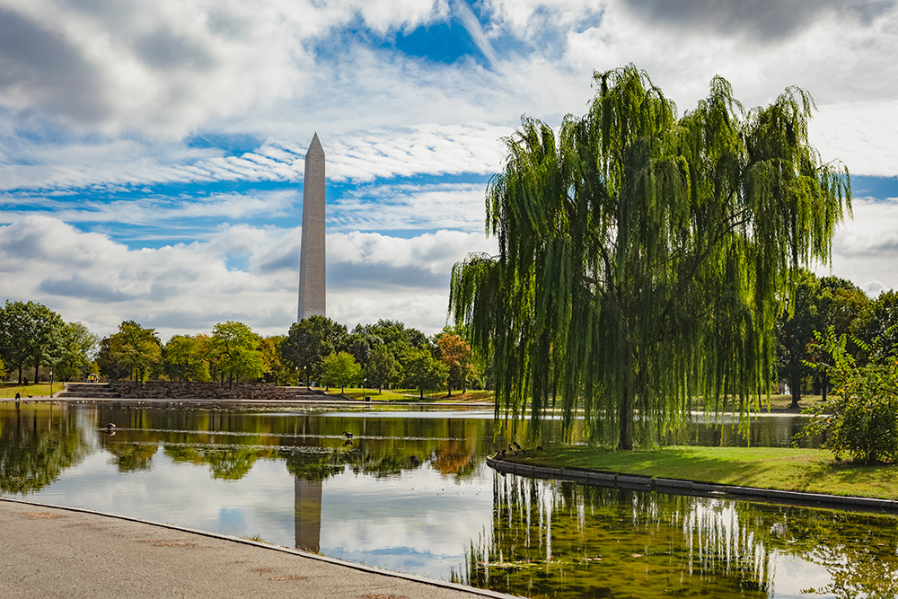Constitution Gardens in Washington D.C.