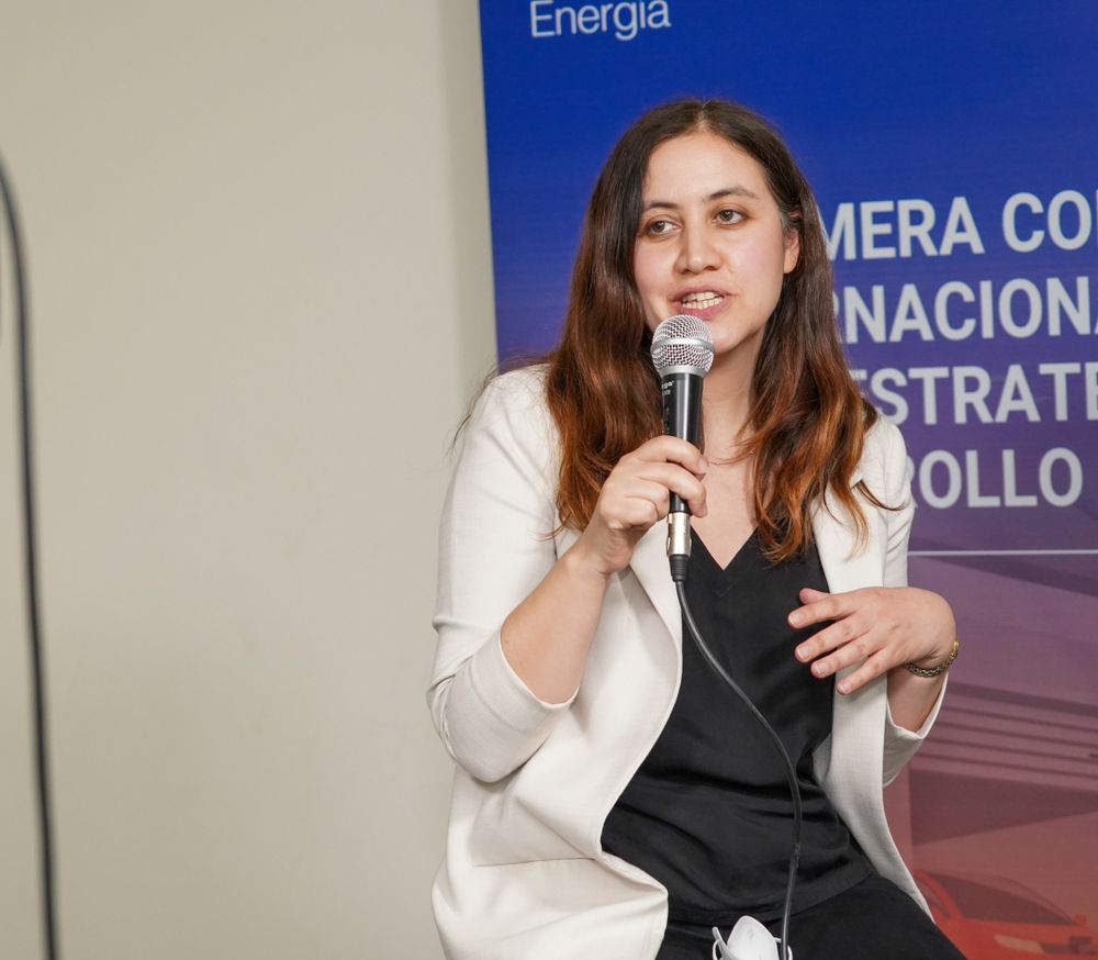 Rowena Moreno Comité de H2V de CORFO Centro de Energía UC