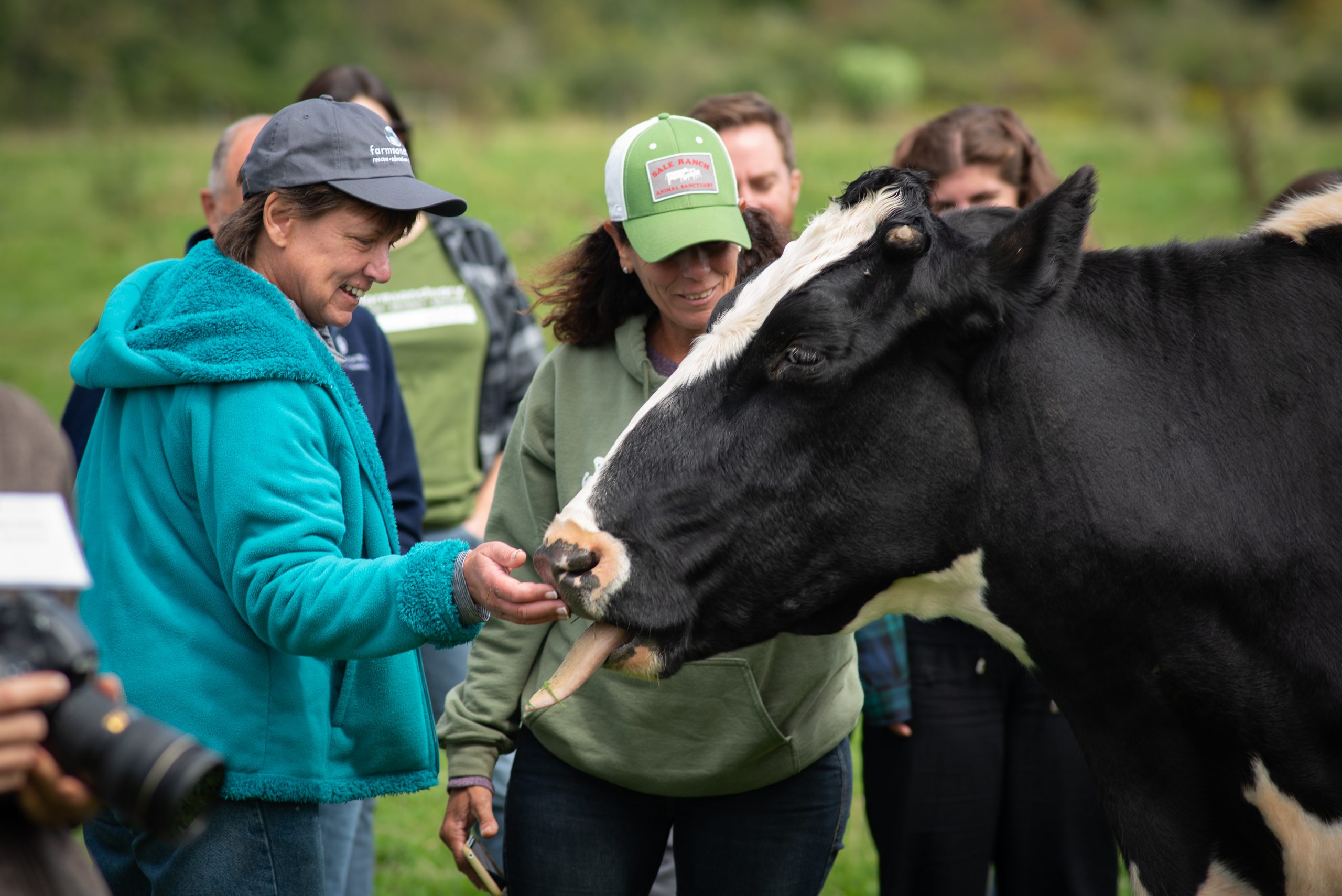 Guests with Faith cow at Farm Sanctuary Guests with Faith cow at Farm Sanctuary