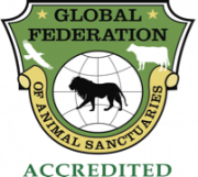 Global Federation Accredited Global Federation Accredited