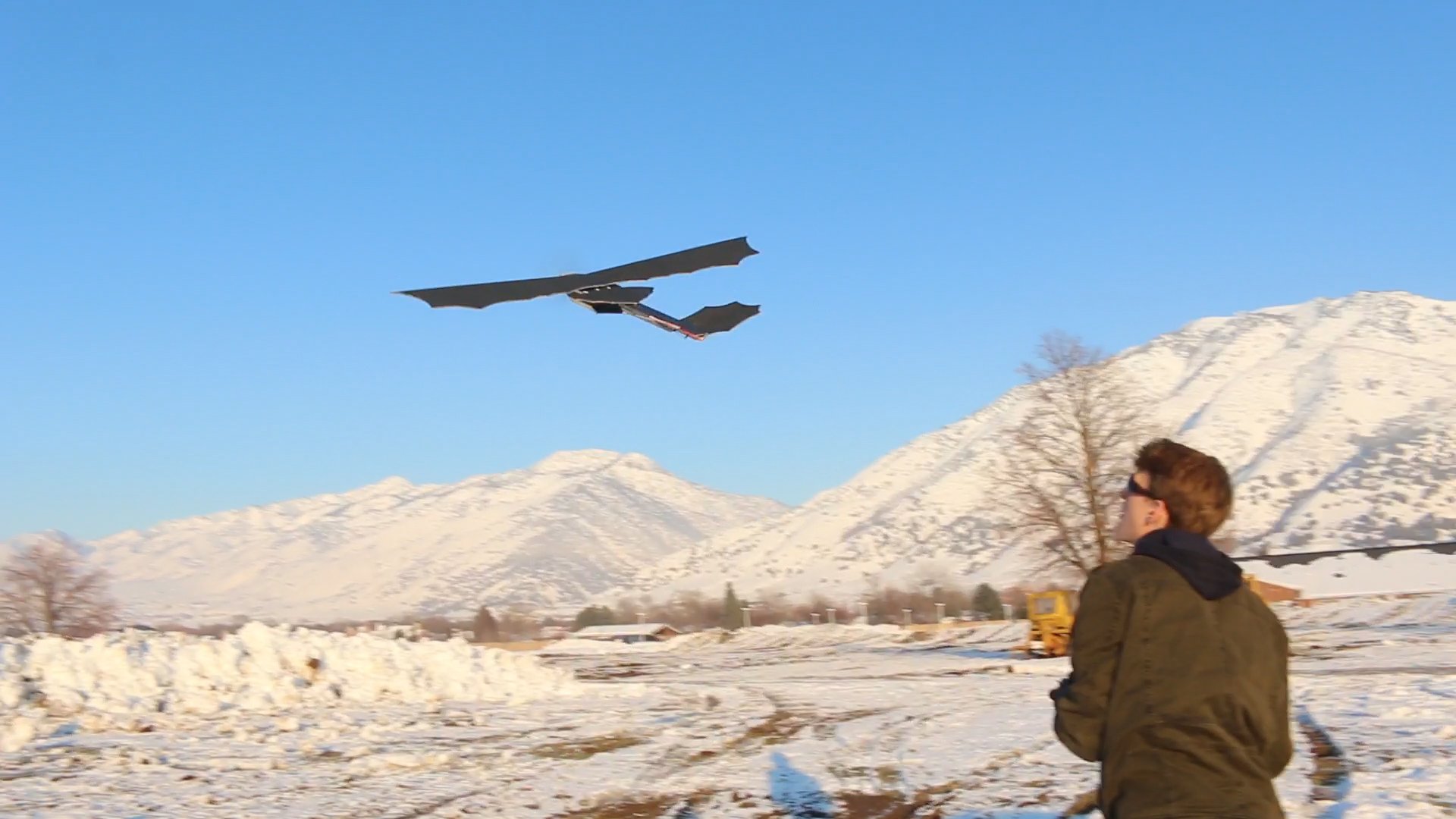 remote control toothless