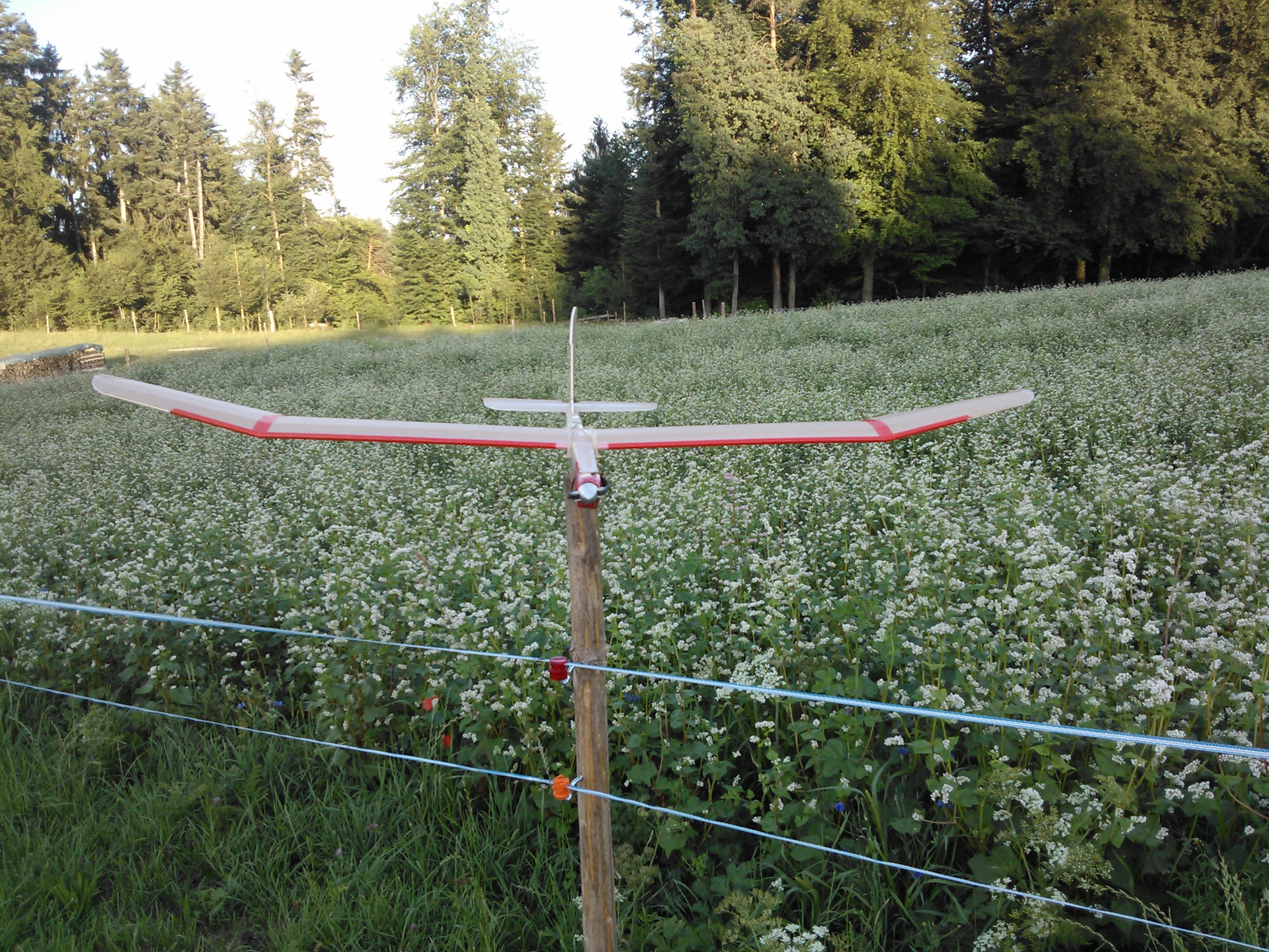 Flying The Ridge Runt Ridge Runner enlarged | Flite Test