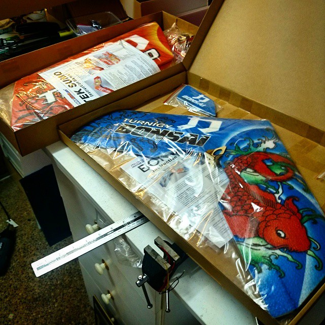 Bonsai EPP Flying Wing FPV Flite Test