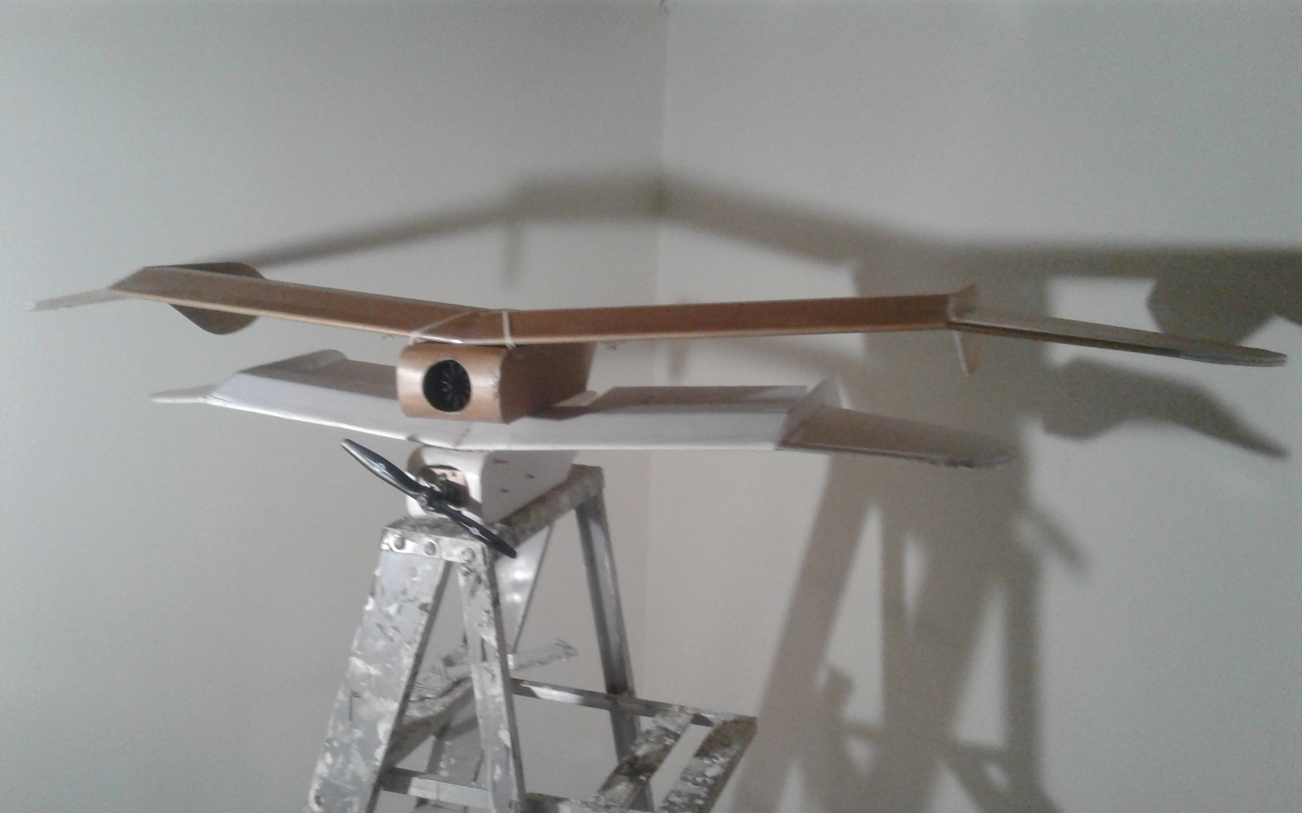 1.6m Nausicaa Glider (Mowe) Flite Test