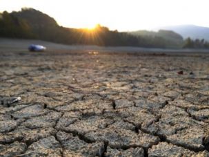 Parched Earth:
 The dried shores of Lake Gruyere in Switzerland, affected by continous drought.				