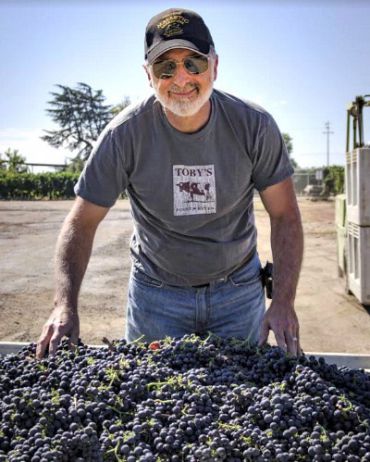 Jeff Morgan inspecting syrah grapes.