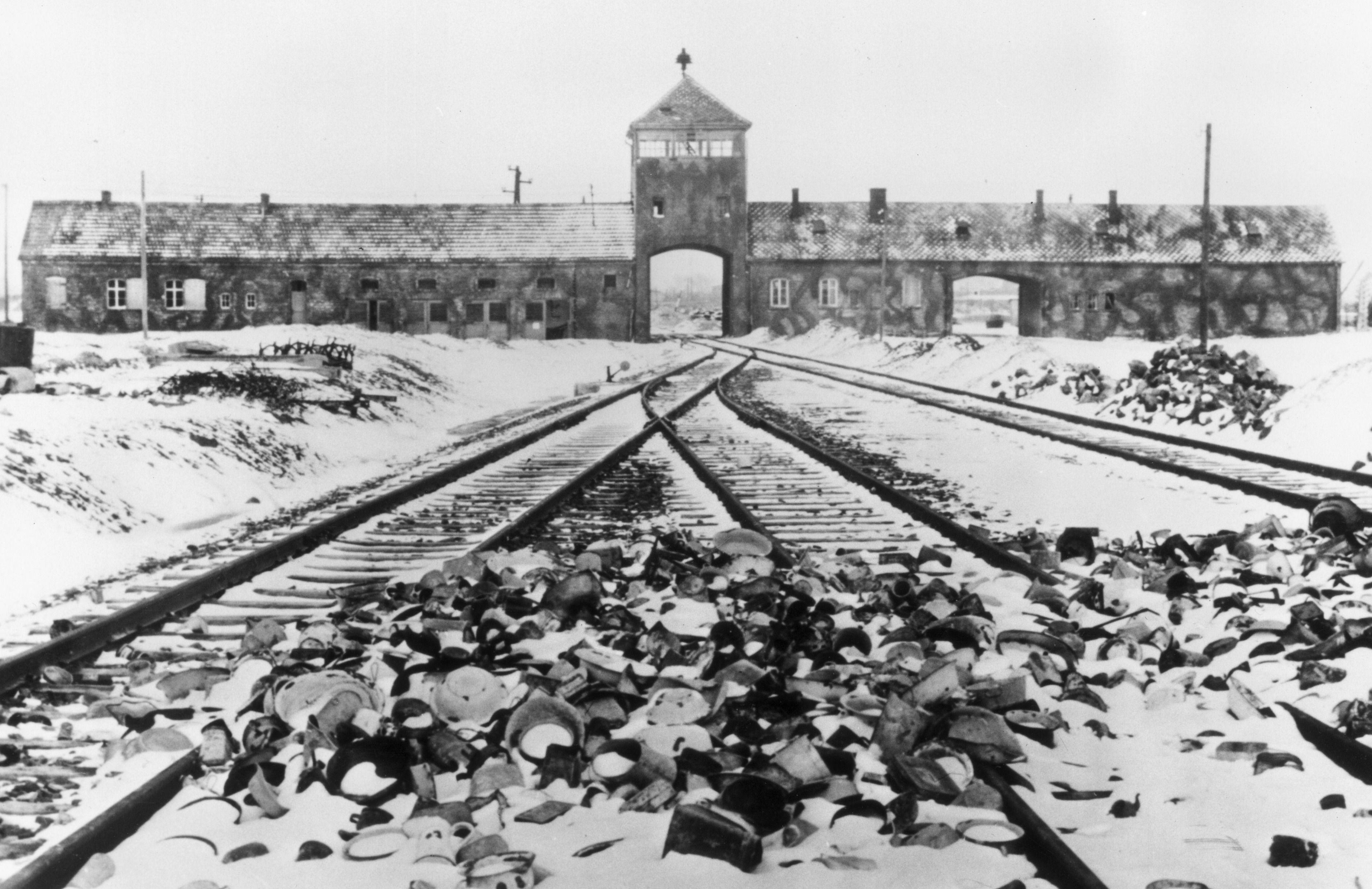 Image result for auschwitz