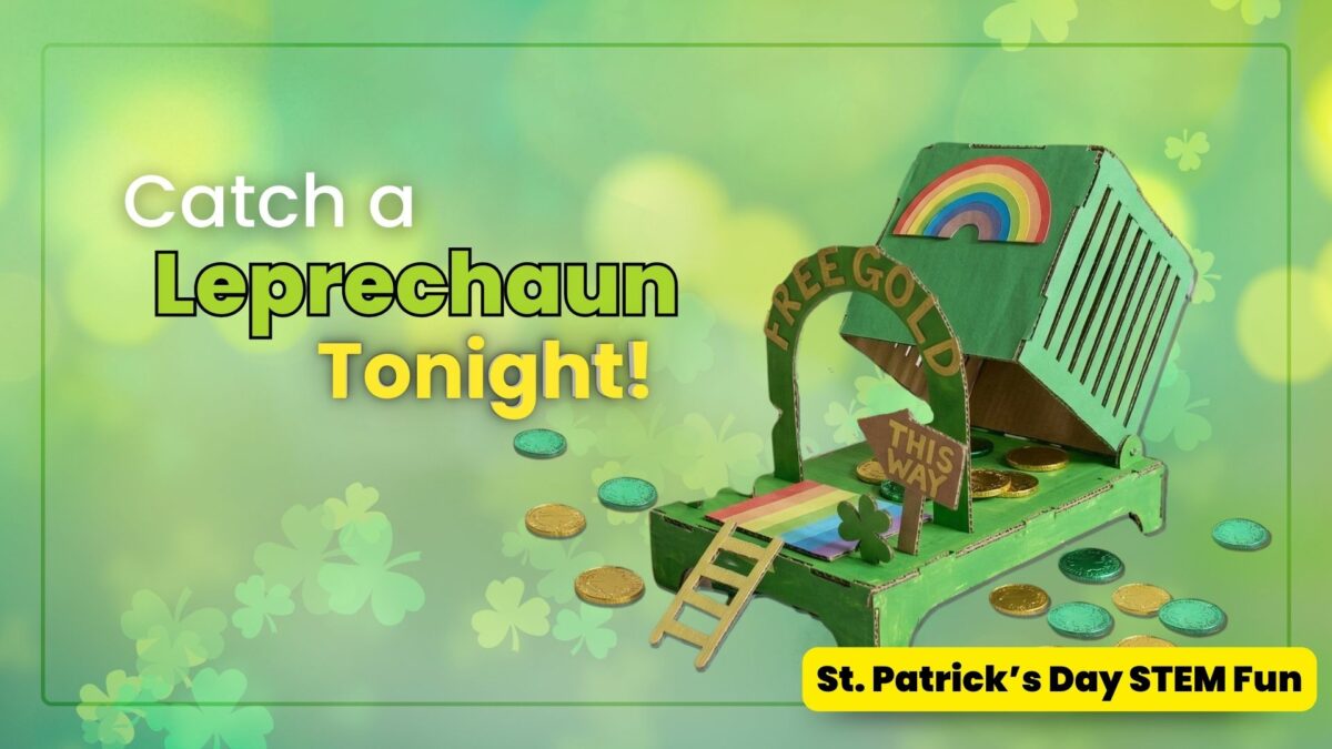 Best Leprechaun Trap Kits for Kids | Classroom & Single Kits