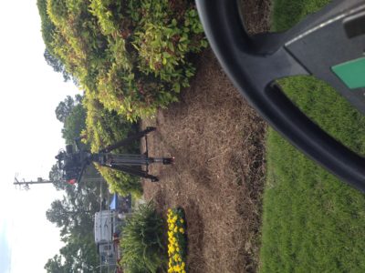 Go To Team Dallas Crew | XFL - Dallas Renegades