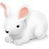 RabbitMQ as a Service