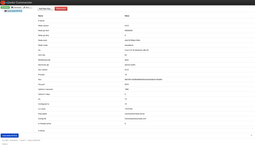 Redis Commander WEB UI