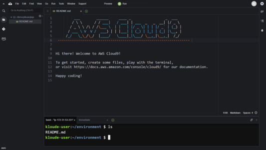 IDE with text editor, terminal, and directory tree