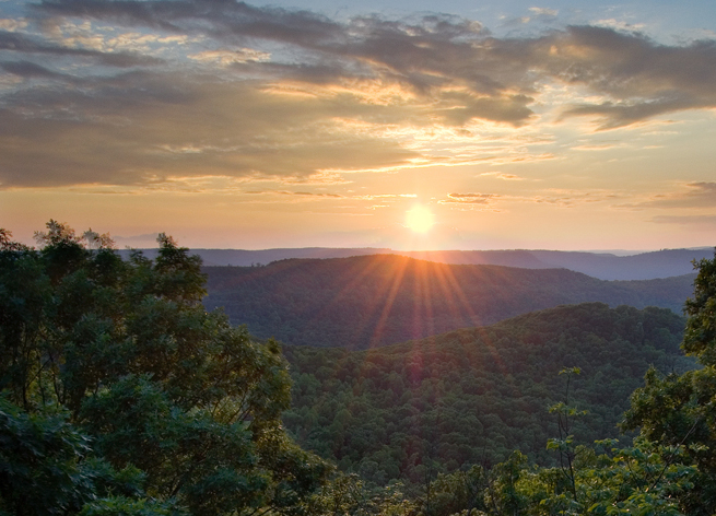 Ozark national forest