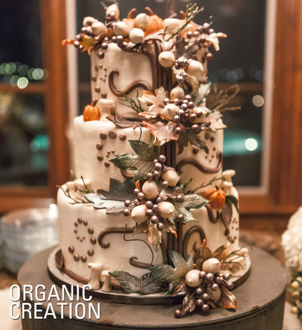 Spectacular Cakes from Real Arkansas Weddings Arkansas Bride