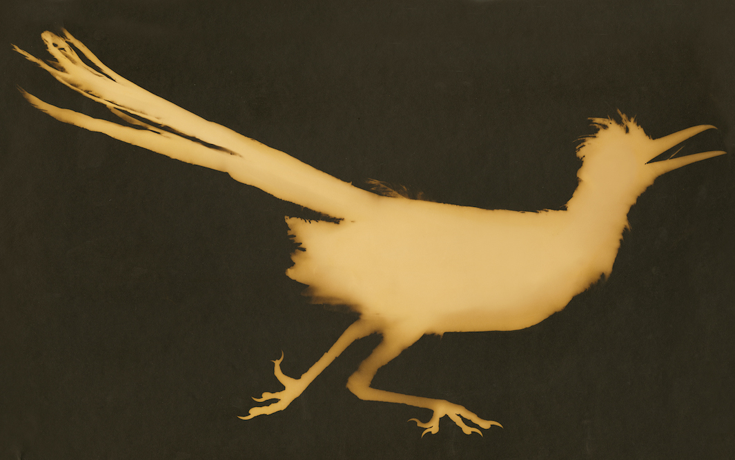 UALR Department of Art Brings New Fall Exhibitions Little Rock Soiree