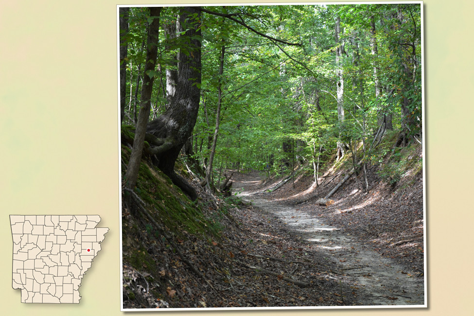 Passport Program Turns Arkansas Residents Into Arkansas Travelers