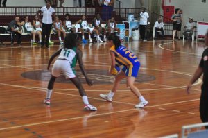 .:: foto_11772_35119.jpg ::.