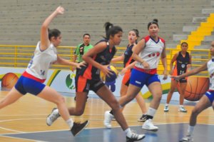 .:: foto_12667_36012.jpg ::.