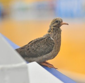 .:: foto_12668_36038.jpg ::.