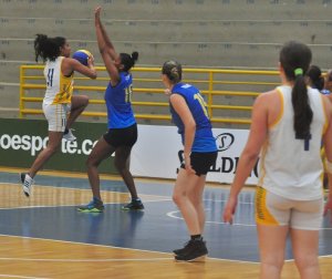 .:: foto_13511_36624.jpg ::.