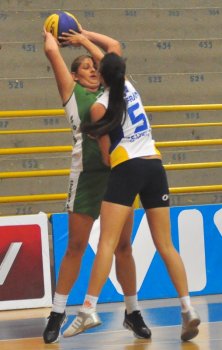 .:: foto_13772_36852.jpg ::.