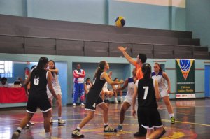 .:: foto_14946_38573.jpg ::.