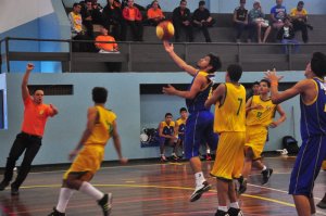 .:: foto_14989_38592.jpg ::.