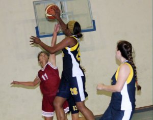 .:: foto_16514_41705.jpg ::.