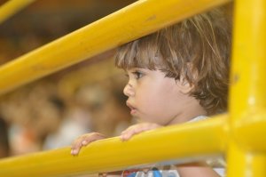 .:: foto_17091_42921.jpg ::.