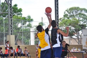 .:: foto_17722_43095.jpg ::.