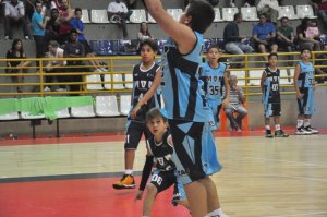 .:: foto_19383_45124.jpg ::.