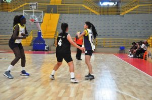 .:: foto_19423_45143.jpg ::.