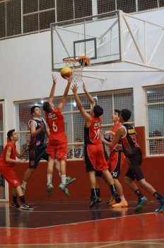 .:: foto_19627_45468.jpg ::.