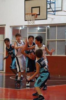 .:: foto_19627_45470.jpg ::.