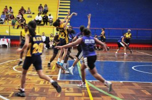 .:: foto_19989_45676.jpg ::.